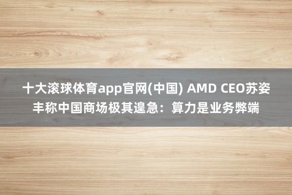 十大滚球体育app官网(中国) AMD CEO苏姿丰称中国商场极其遑急：算力是业务弊端
