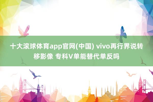 十大滚球体育app官网(中国) vivo再行界说转移影像 专科V单能替代单反吗