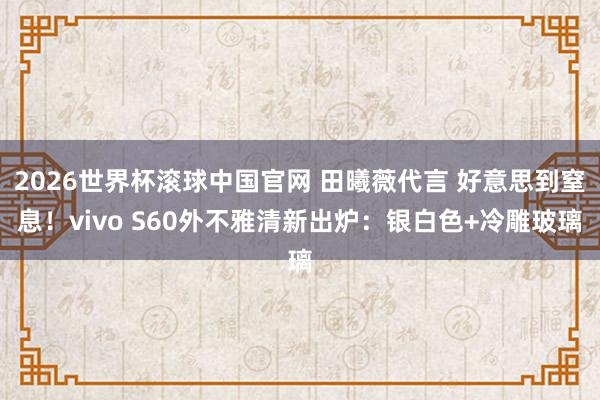 2026世界杯滚球中国官网 田曦薇代言 好意思到窒息！vivo S60外不雅清新出炉：银白色+冷雕玻璃