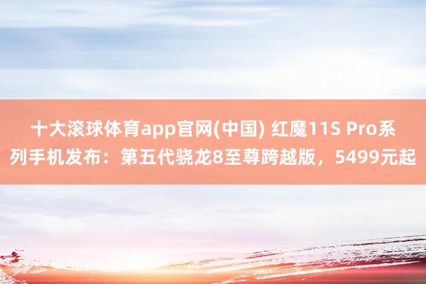 十大滚球体育app官网(中国) 红魔11S Pro系列手机发布：第五代骁龙8至尊跨越版，5499元起
