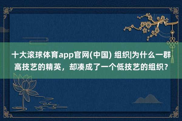 十大滚球体育app官网(中国) 组织|为什么一群高技艺的精英，却凑成了一个低技艺的组织？
