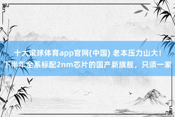 十大滚球体育app官网(中国) 老本压力山大！下半年全系标配2nm芯片的国产新旗舰，只须一家
