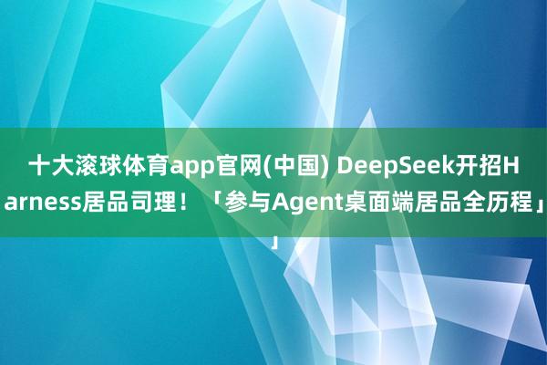 十大滚球体育app官网(中国) DeepSeek开招Harness居品司理！「参与Agent桌面端居品全历程」
