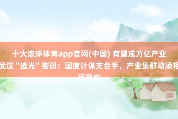 十大滚球体育app官网(中国) 有望成万亿产业！武汉“追光”密码：国度计谋支合手，产业集群动须相应