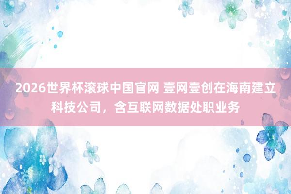 2026世界杯滚球中国官网 壹网壹创在海南建立科技公司，含互联网数据处职业务