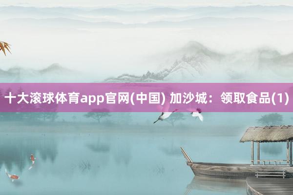 十大滚球体育app官网(中国) 加沙城：领取食品(1)