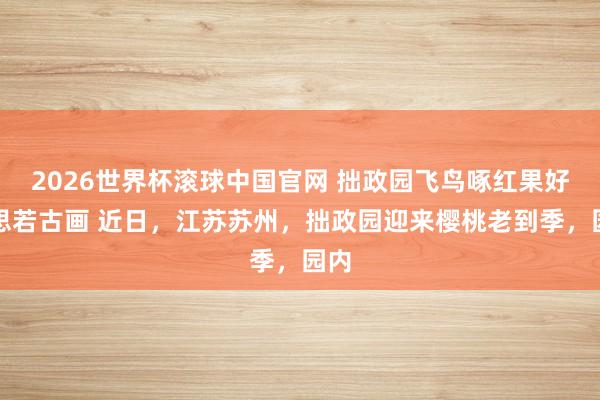 2026世界杯滚球中国官网 拙政园飞鸟啄红果好意思若古画 近日，江苏苏州，拙政园迎来樱桃老到季，园内