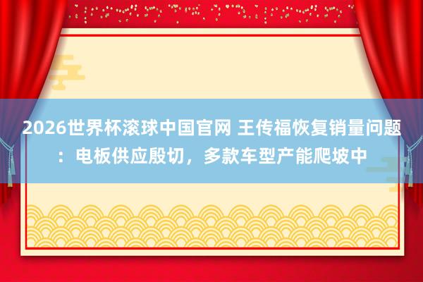 2026世界杯滚球中国官网 王传福恢复销量问题：电板供应殷切，多款车型产能爬坡中