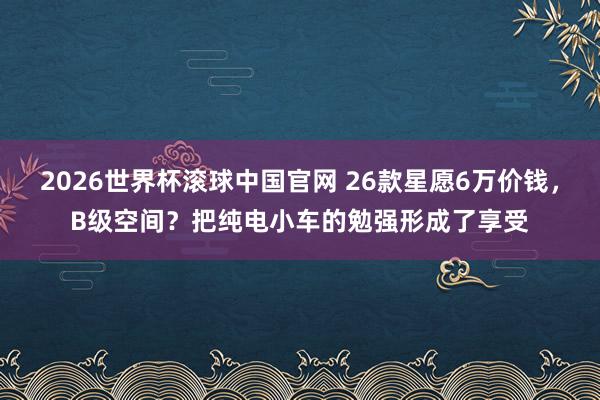 2026世界杯滚球中国官网 26款星愿6万价钱，B级空间？把纯电小车的勉强形成了享受