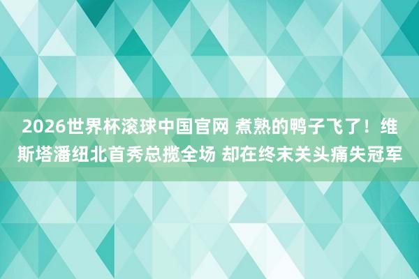 2026世界杯滚球中国官网 煮熟的鸭子飞了！维斯塔潘纽北首秀总揽全场 却在终末关头痛失冠军