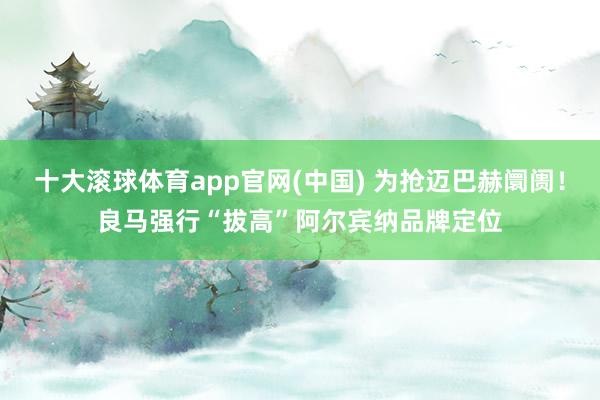 十大滚球体育app官网(中国) 为抢迈巴赫阛阓！良马强行“拔高”阿尔宾纳品牌定位