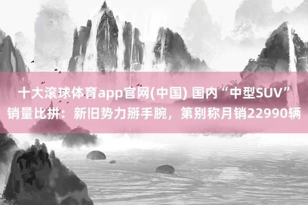 十大滚球体育app官网(中国) 国内“中型SUV”销量比拼：新旧势力掰手腕，第别称月销22990辆