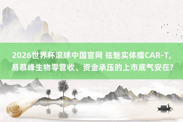 2026世界杯滚球中国官网 祛魅实体瘤CAR-T， 易慕峰生物零营收、资金承压的上市底气安在?