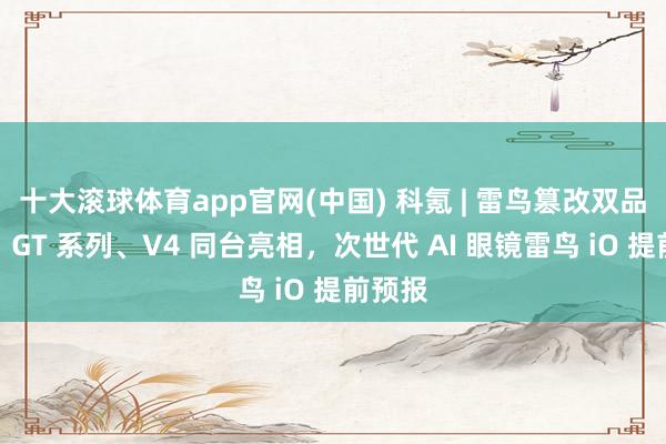 十大滚球体育app官网(中国) 科氪 | 雷鸟篡改双品都发：GT 系列、V4 同台亮相，次世代 AI 眼镜雷鸟 iO 提前预报