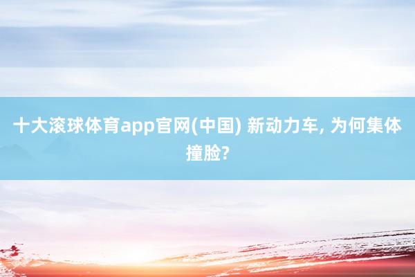 十大滚球体育app官网(中国) 新动力车， 为何集体撞脸?