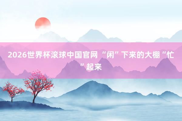 2026世界杯滚球中国官网 “闲”下来的大棚“忙”起来