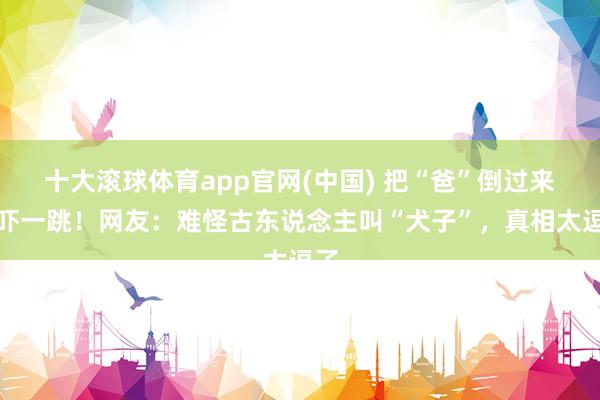 十大滚球体育app官网(中国) 把“爸”倒过来看吓一跳！网友：难怪古东说念主叫“犬子”，真相太逗了