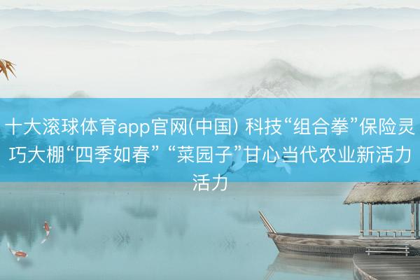 十大滚球体育app官网(中国) 科技“组合拳”保险灵巧大棚“四季如春” “菜园子”甘心当代农业新活力