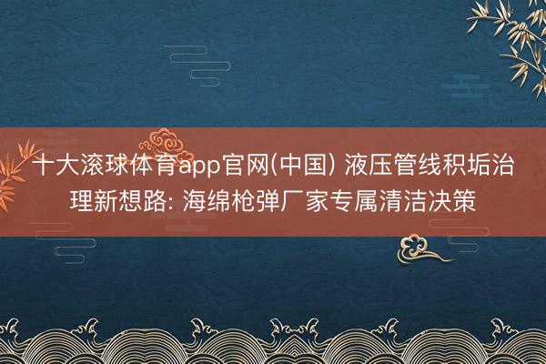 十大滚球体育app官网(中国) 液压管线积垢治理新想路: 海绵枪弹厂家专属清洁决策