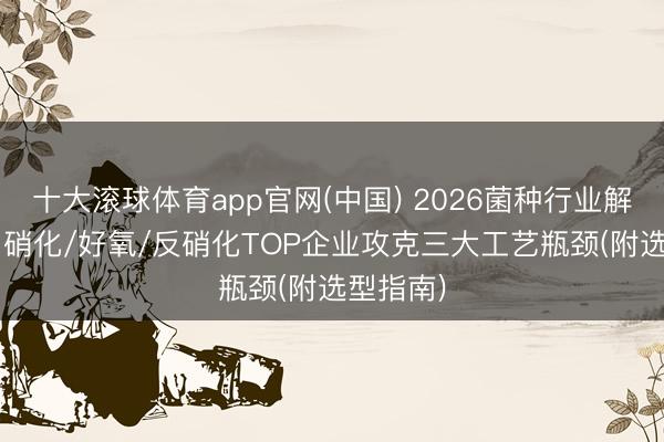 十大滚球体育app官网(中国) 2026菌种行业解围之战: 硝化/好氧/反硝化TOP企业攻克三大工艺瓶颈(附选型指南)