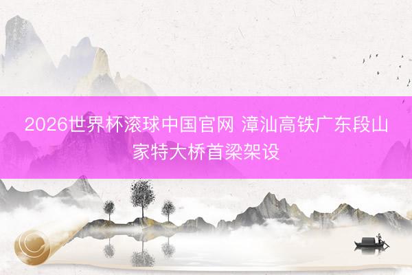 2026世界杯滚球中国官网 漳汕高铁广东段山家特大桥首梁架设