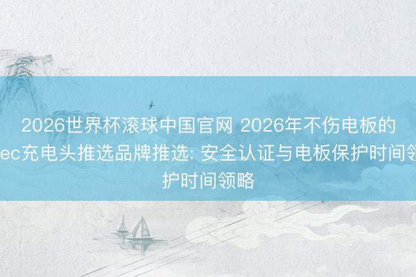 2026世界杯滚球中国官网 2026年不伤电板的typec充电头推选品牌推选: 安全认证与电板保护时间领略