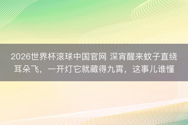 2026世界杯滚球中国官网 深宵醒来蚊子直绕耳朵飞,一开灯它就藏得九霄,这事儿谁懂